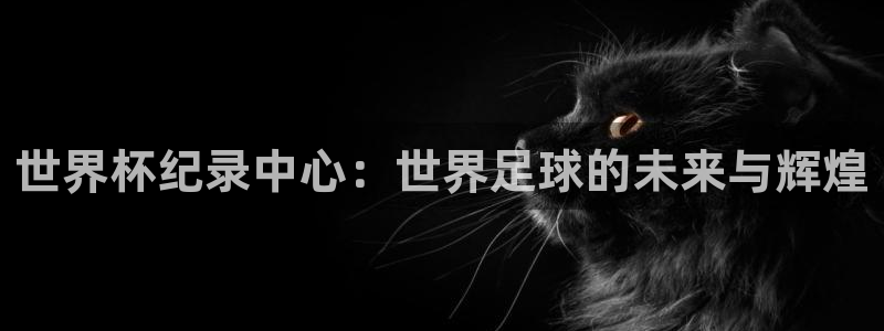 世界杯足球直播：世界杯纪录中心：世界足球的未来与辉煌