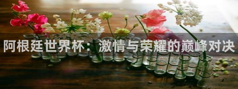 世预赛免费直播入口：阿根廷世界杯：激情与荣耀的巅峰对决