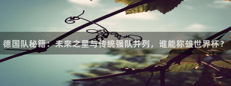 美洲杯直播：德国队秘籍：未来之星与传统强队并列，谁能称雄世界杯？
