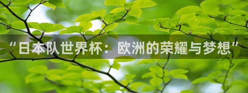 世界杯球队：“日本队世界杯：欧洲的荣耀与梦想”