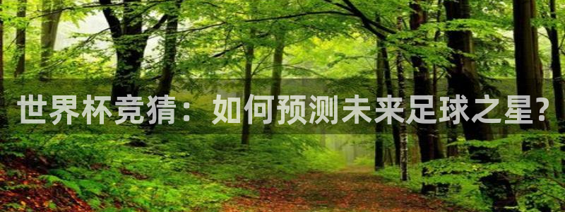 世界杯欧洲区预选赛赛程：世界杯竞猜：如何预测未来足球之星?