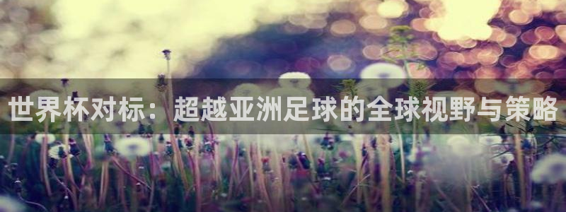 世界杯球队：世界杯对标：超越亚洲足球的全球视野与策略