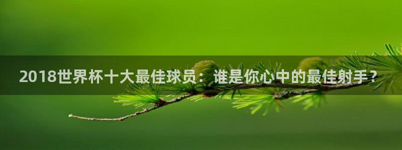 世界杯预选赛欧洲赛区赛程：2018世界杯十大最佳球员：谁是你心中的最佳射手？