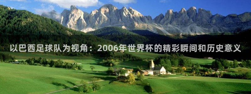 足球杯：以巴西足球队为视角：2006年世界杯的精彩瞬间和历史意义