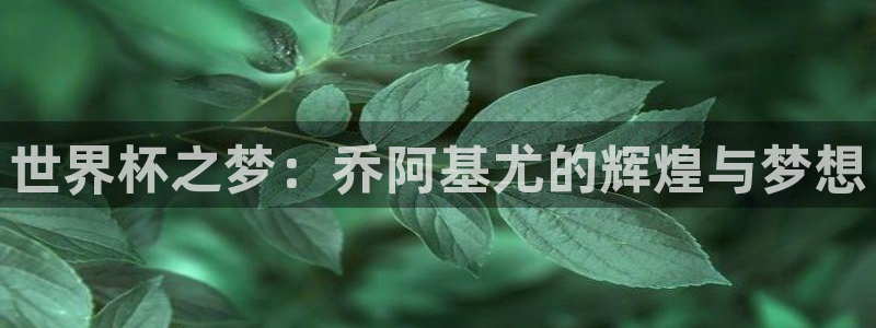 世界杯决赛预测：世界杯之梦：乔阿基尤的辉煌与梦想