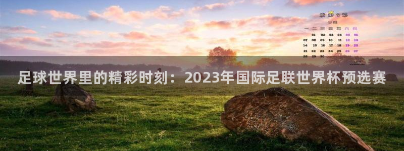世界杯赛程表:足球世界里的精彩时刻:2023年国际足联世界杯预选赛