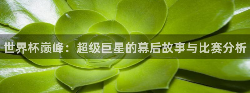 世界杯直播观看：世界杯巅峰：超级巨星的幕后故事与比赛分析