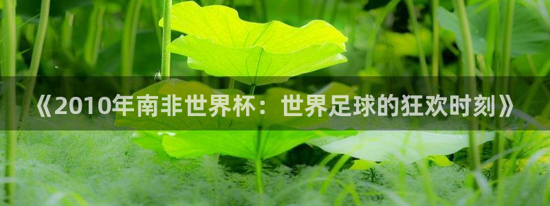 2026世界杯对阵图：《2010年南非世界杯：世界足球的狂欢时刻》