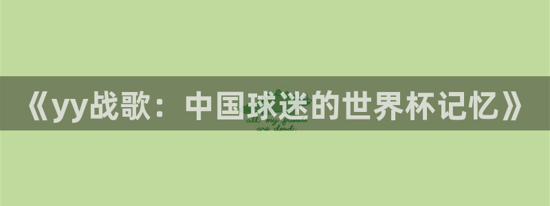 世界杯预选赛规则：《yy战歌：中国球迷的世界杯记忆》