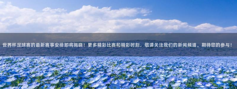 2026世界杯直播免费观看：世界杯足球赛的最新赛事安排即将揭晓！更多精彩比赛和精彩时刻，敬请关注我们的新闻频道。期待您的参与！